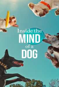 Inside the Mind of a Dog (2024) อ่านใจสุนัข